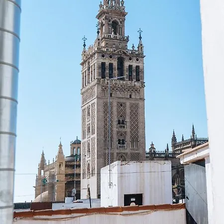 Atico Lujo Junto A La Catedral. Giralda 公寓 塞维利亚